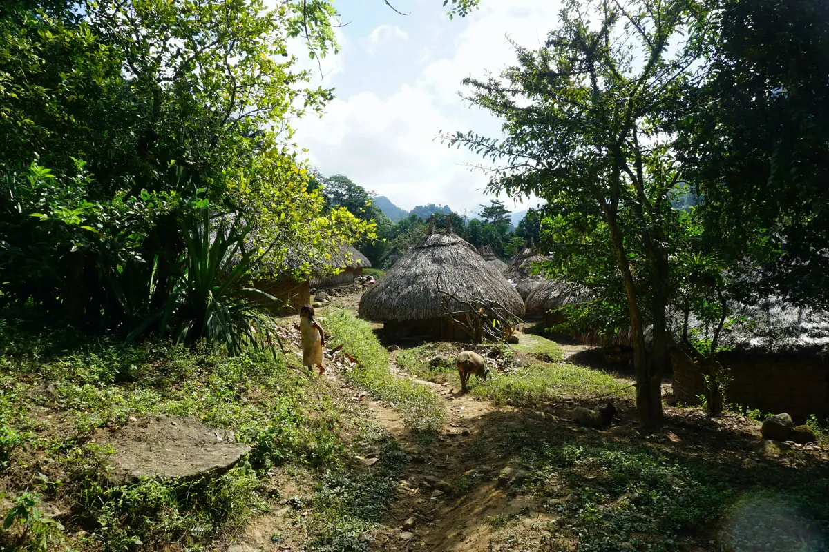 GUIDE FOR INTEGRATING GRAPHQL WITH FLUTTER USING HASURA